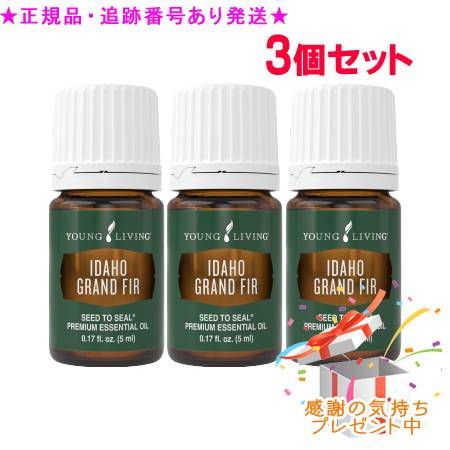 YOUNG LIVING 若い衆・リビング シングルエッセンシャルオイル アイダホグランドファー 5mL 3個仕掛ける 差し上げ物付