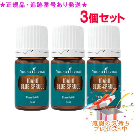 YOUNG LIVING 若い衆・リビング シングルエッセンシャルオイル アイダホブルースプルース 5mL 3個仕掛ける 差し上げ物付