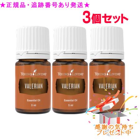 YOUNG LIVING 若い者・リビング シングルエッセンシャルオイル ヴァレリアン 5mL 3個書き割り 差し上げ物付