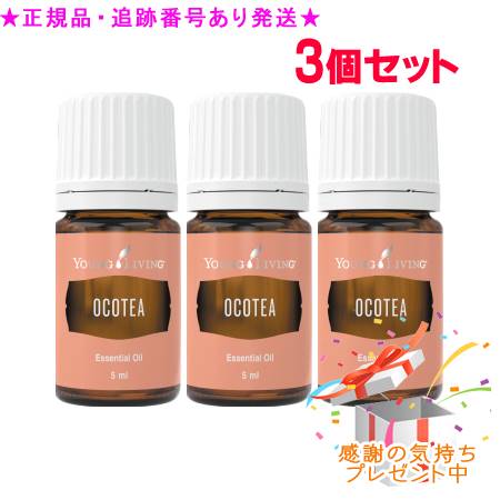 YOUNG LIVING 若い者・リビング シングルエッセンシャルオイル オコテア 5mL 3個書き割り 差し上げ物付