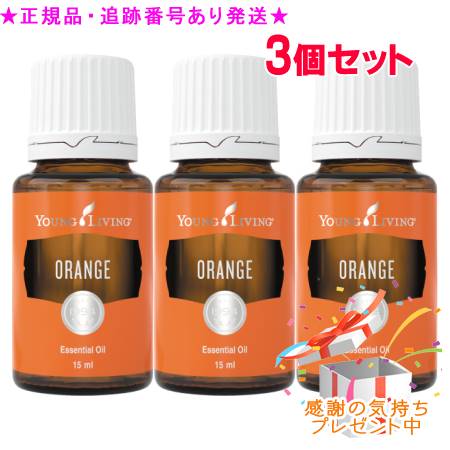 リピート多数 MNV7JUJJEP2 型番:MNV7JUJJEP2
