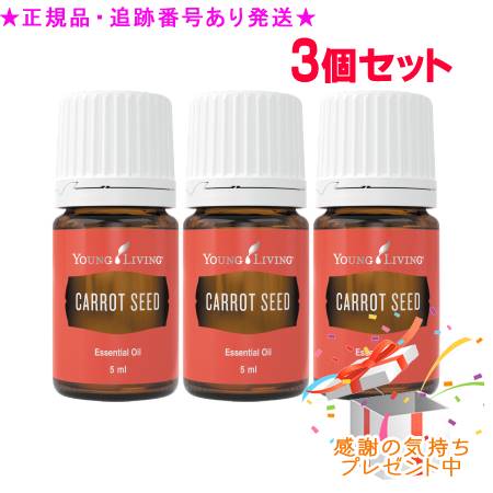 YOUNG LIVING 若い衆・リビング シングルエッセンシャルオイル キャロットシード 5mL 3個仕掛ける 差し上げ物付
