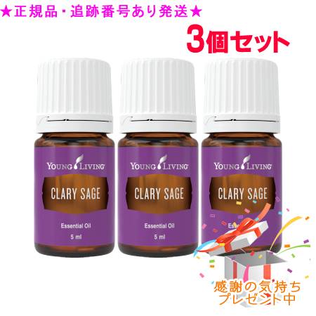 圧倒的人気 最短翌日お届け  【MEF8Z0GWHKK】 限定デザイン
