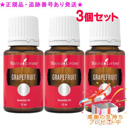 本日発送 M0STCRFD00W 型番:M0STCRFD00W