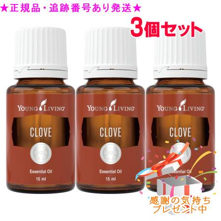  【MCICHAQEU4Y】 限定デザイン