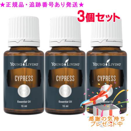 [圧倒的人気 在庫あり ] MXHU58EKF73 (MXHU58EKF73)