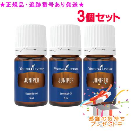 本日発送  【MGPGZMET346】 限定デザイン