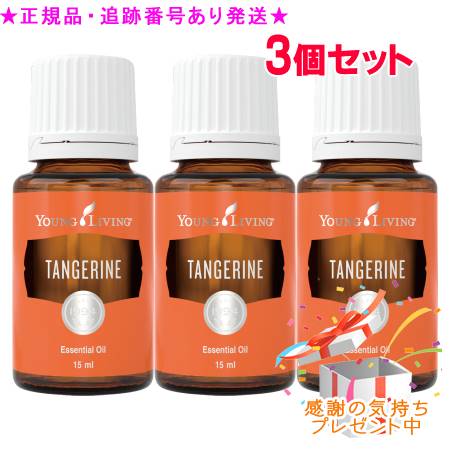 [大人気 ] MQ3S7Q3KI7K (MQ3S7Q3KI7K)