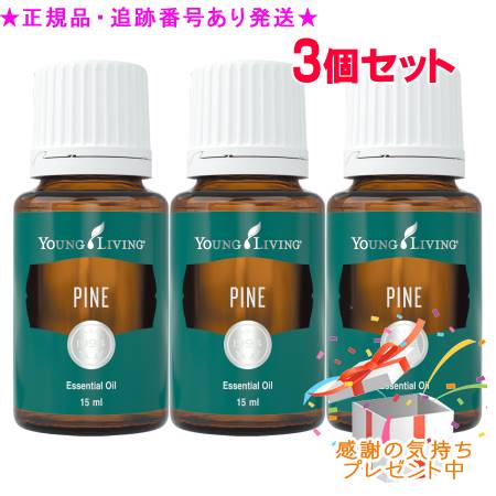 圧倒的人気  【M3Y2ZZ7MD9Z】 限定デザイン