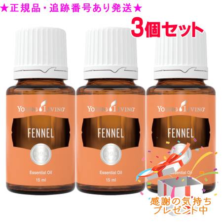 今季注目 本日発送  【M4N9GHZTT9C】 限定デザイン