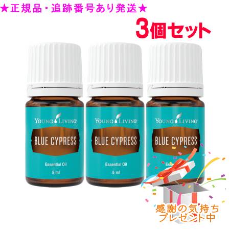 YOUNG LIVING 若い者・リビング シングルエッセンシャルオイル 青碧サイプレス 5mL 3個書き割り 差し上げ物付