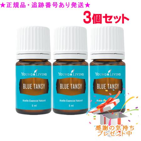 YOUNG LIVING 若い衆・リビング シングルエッセンシャルオイル ブルータンジー 5mL 3個書き割り 差し上げ物付