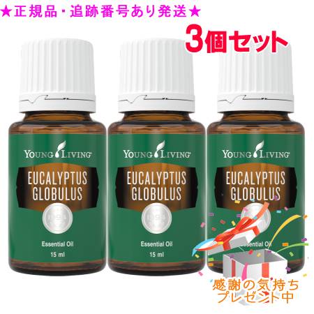 本日発送  【M08K8JRU170】 限定デザイン