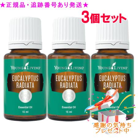 YOUNG LIVING ヤング・リビング シングルエッセンシャルオイル ユーカリラディアータ 15mL 3個セット プレゼント付