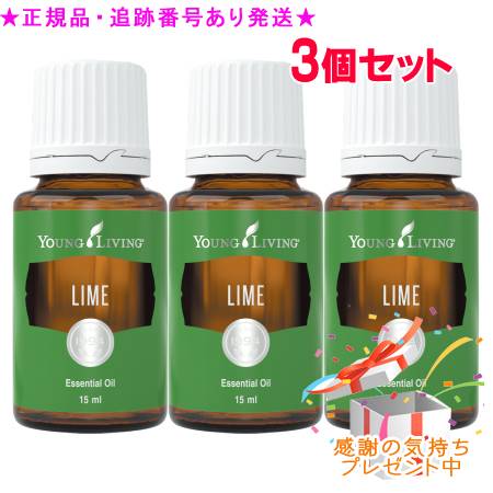 リピート多数 あす楽対応  【MTP5B2Y04TC】 限定デザイン