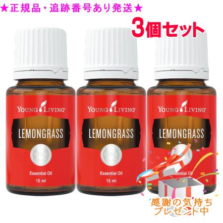 売れ筋 あす楽対応 MJNO4WZ7K6B 型番:MJNO4WZ7K6B