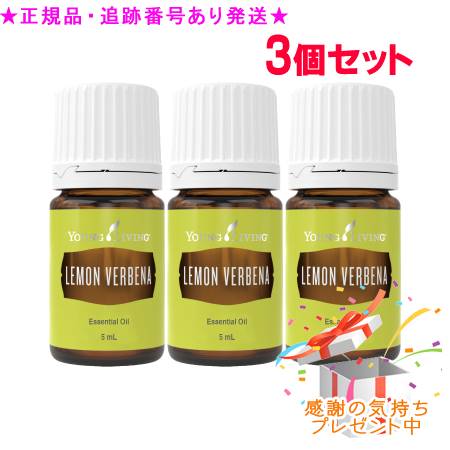 YOUNG LIVING 若い者・リビング シングルエッセンシャルオイル レモンバーベナ 5mL 3個書き割り 差し上げ物付