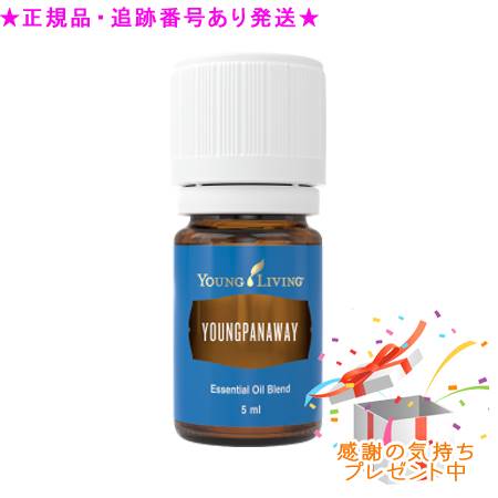 売れ筋 最短翌日お届け M3B4C5BFH6F [M3B4C5BFH6F]