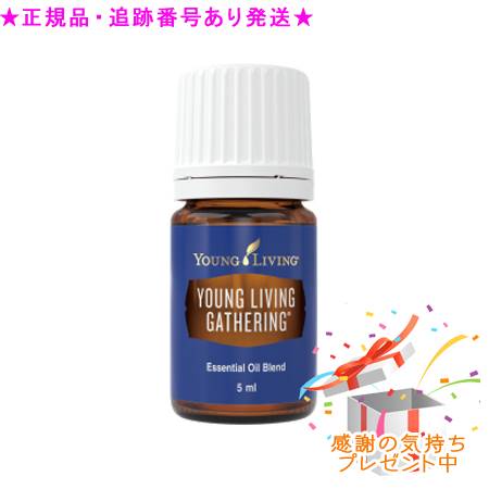 YOUNG LIVING ヤング・リビング ブレンドエッセンシャルオイル ヤングリビングギャザリング 5mL プレゼント付