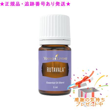 圧倒的人気 あす楽対応 MOYB1QBHIZ7 型番:MOYB1QBHIZ7