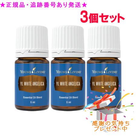 YOUNG LIVING 若い衆・リビング ブレンドエッセンシャルオイル YLホワイトアンジェリカ 5mL 3個仕掛ける 差し上げ物付