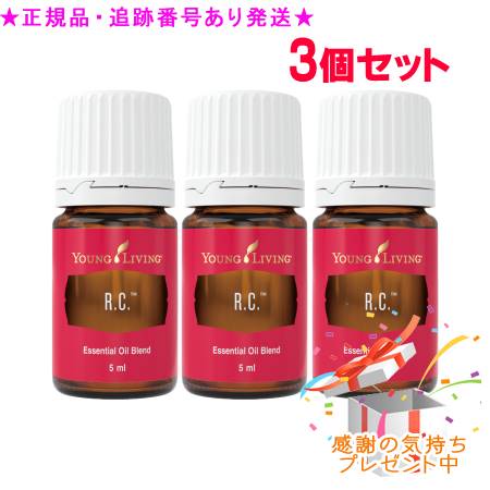 圧倒的人気 【即日発送】 M76GT6120BK 型番:M76GT6120BK