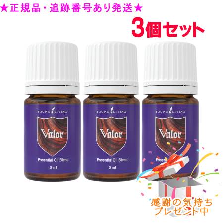 圧倒的人気 あす楽対応 M89WX088RD8 [M89WX088RD8]