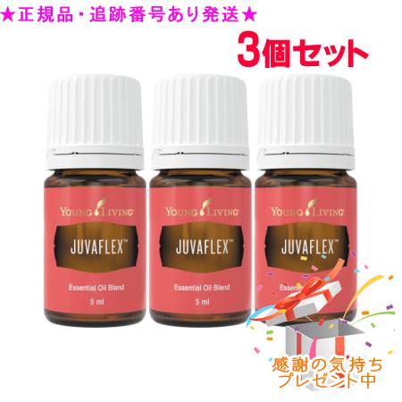 YOUNG LIVING 若い衆・リビング ブレンドエッセンシャルオイル ジュバフレックス 5mL 3個仕掛ける 差し上げ物付