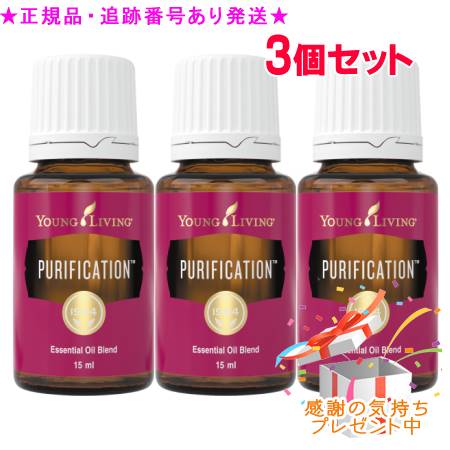 YOUNG LIVING 若い衆・リビング ブレンドエッセンシャルオイル ピューリフィケーション 15mL 3個仕掛ける 差し上げ物付