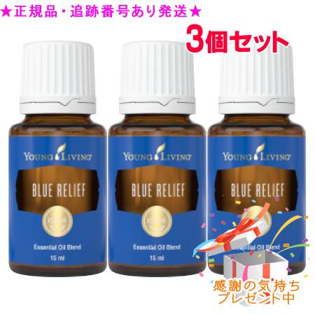 YOUNG LIVING ヤング・リビング ブレンドエッセンシャルオイル ブルーリリーフ 15mL 3個セット プレゼント付