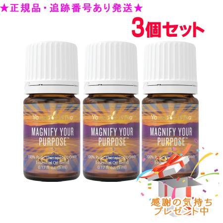YOUNG LIVING 若い者・リビング ブレンドエッセンシャルオイル マグニファイユアパーパス 5mL 3個書き割り 差し上げ物付
