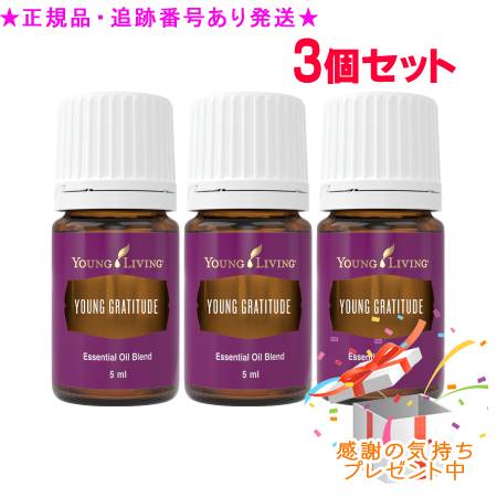 YOUNG LIVING 若い衆・リビング ブレンドエッセンシャルオイル 若い衆 グラティテュード 5mL 3個仕掛ける 差し上げ物付