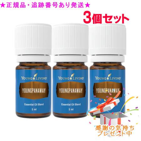 YOUNG LIVING 若い者・リビング ブレンドエッセンシャルオイル ヤングパナウェイ 5mL 3個書き割り 差し上げ物付