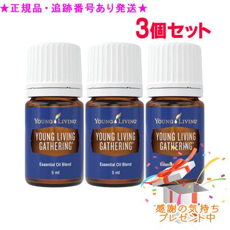 YOUNG LIVING 若い者・リビング ブレンドエッセンシャルオイル ヤングリビングギャザリング 5mL 3個書き割り 差し上げ物付
