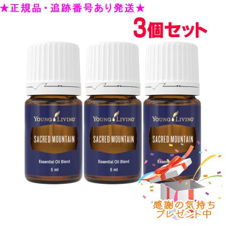 大人気 【即日発送】 M52RVBI8583 [M52RVBI8583]
