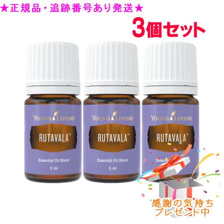 YOUNG LIVING 若い者・リビング ブレンドエッセンシャルオイル ルタ ヴァラ 5mL 3個書き割り 差し上げ物付