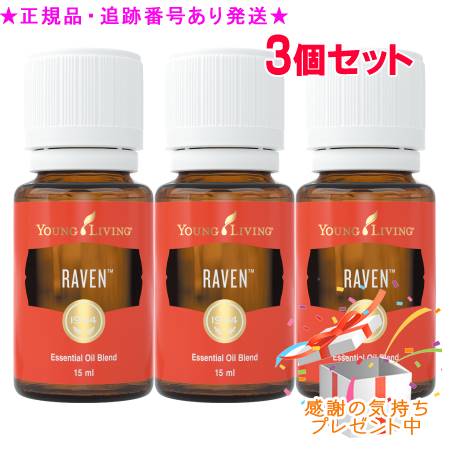 YOUNG LIVING 若い者・リビング ブレンドエッセンシャルオイル レイブン 15mL 3個書き割り 差し上げ物付
