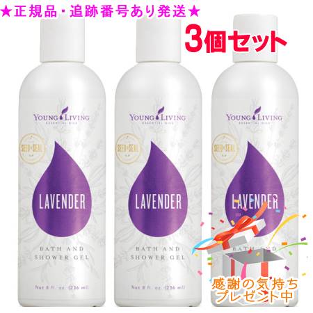 YOUNG LIVING 若い者・リビング ラベンダー バスアンドシャワージェル 236ｍL 3個書き割り 差し上げ物付