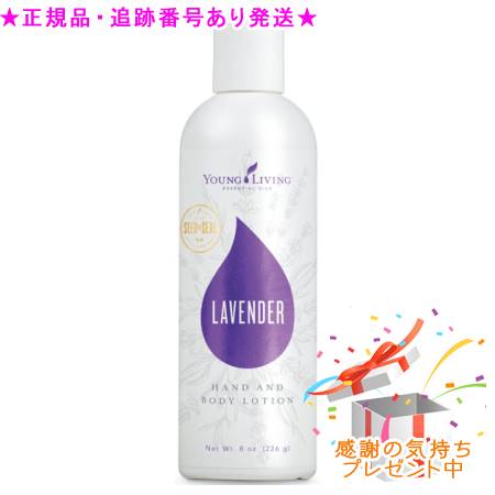 YOUNG LIVING 青少年・リビング ラベンダー ハンドアンドボディローション 226ｍL 差し上げ物付