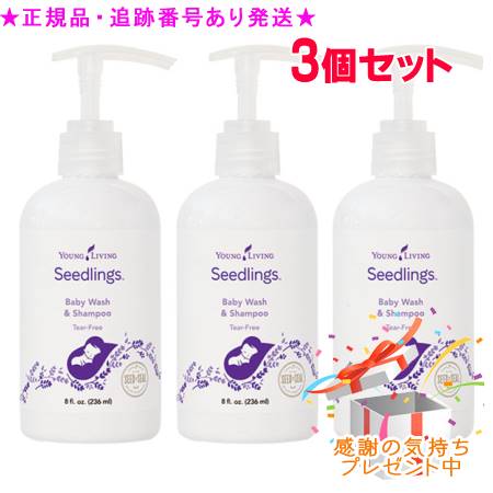 YOUNG LIVING ヤング・リビング シードリングス ベビーウォッシュ アンド シャンプー 236mL 3個セット プレゼント付|bi-sai
