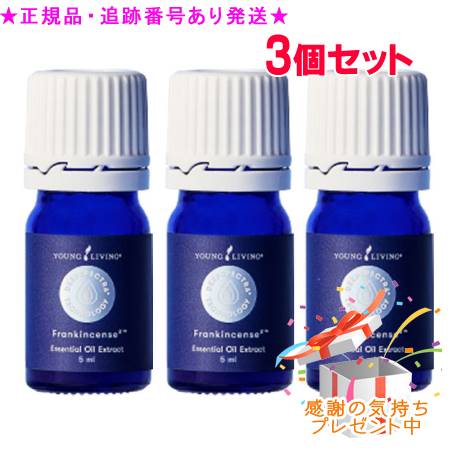 YOUNG LIVING ヤング・リビング ディープスペクトラ フランキンセンス2　 5ml 3個セット プレゼント付｜bi-sai 31,632円