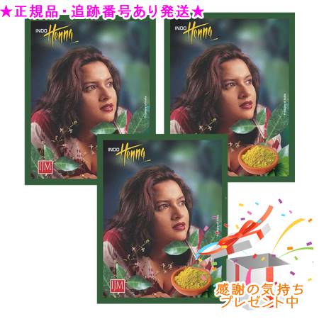 インドヘナ ハーブ 500g 3個セット　プレゼント付