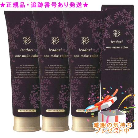 イリヤ 彩 ONEメイクカラー 250g 3個セット　プレゼント付｜bi-sai