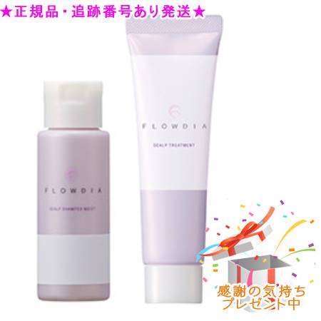 フローディア　シャンプー　スリークモイストa+トリートメント　b セット FLOWDIA デミ フローディア スリークモイスト シャンプー