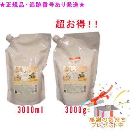 NAPUR ナピュール キュアシャンプー つめかえ用 ＆ 手当て つめかえ用 3000mL/g 差し上げ物付