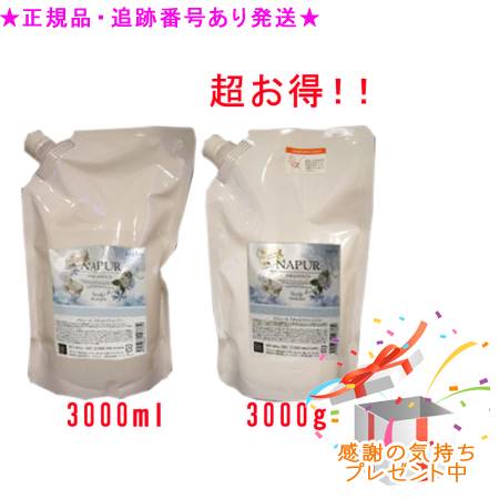 NAPUR ナピュール スキャルプシャンプー つめかえ用 ＆ 手当て つめかえ用 3000mL/g 差し上げ物付