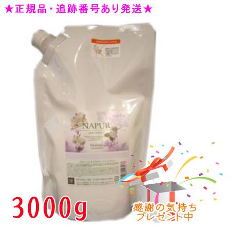 NAPUR ナピュール モイスチャートリートメント 詰替用 3000g ※画像は600g※ プレゼント付｜bi-sai