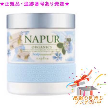 ナピュール スキャルプシャンプー＆トリートメント(詰め替え用) 楽天市場】NAPUR ナピュール スキャルプシャンプー 詰替用 700mL