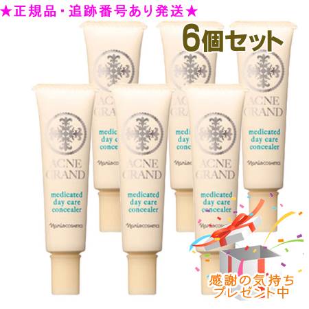 Naris ナリス アクネグラン 薬用 デイケア コンシーラー 医薬部外品 15ｇ 6個セット プレゼント付 の商品写真