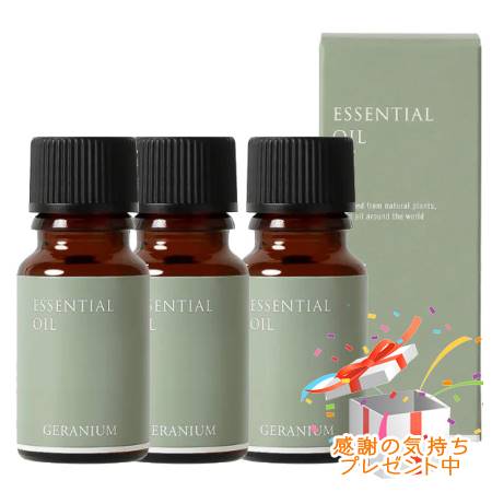 Tree of life やって行くの木 エッセンシャルオイル ゼラニウム 揮発油 10mL 3個書き割り ※外箱折りたたんでご送りとどける※